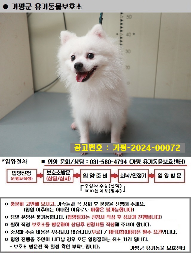 스피츠 이미지 파일 입니다.